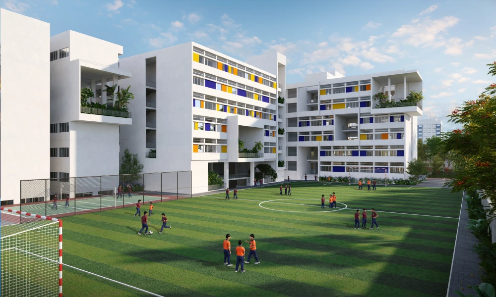 Sports Activitity